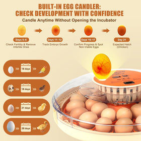 ZEMIRO CHARGE Serie II removable egg trays for quick cleaning between cycles.