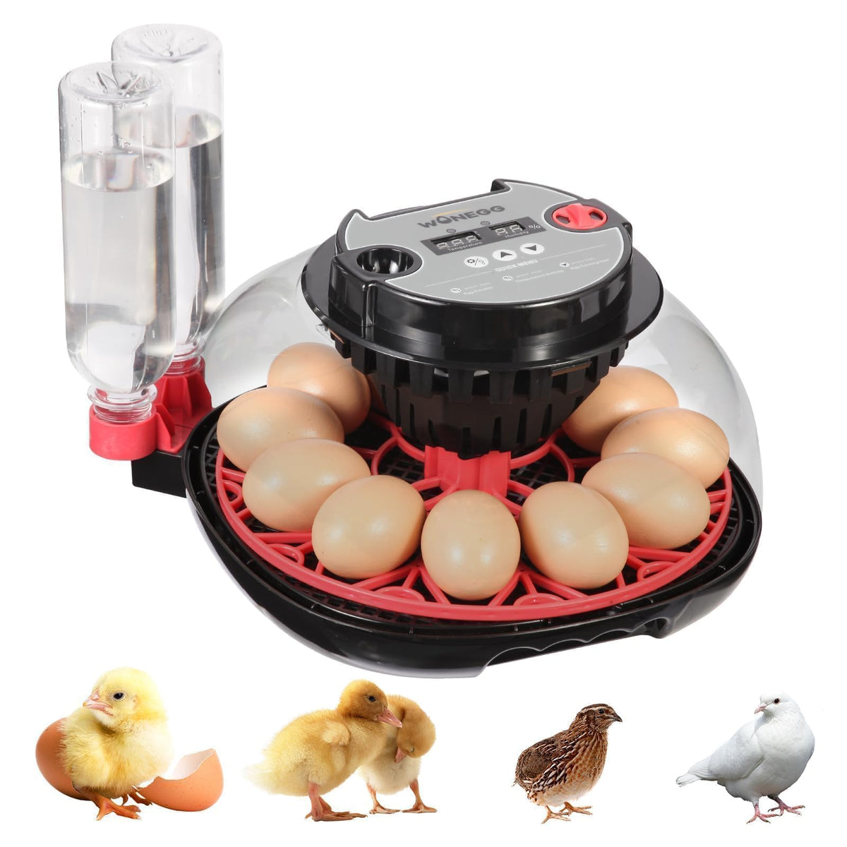 ZEMIRO CHARGE Series II incubator top view showing compact beginner-friendly hatchery setup