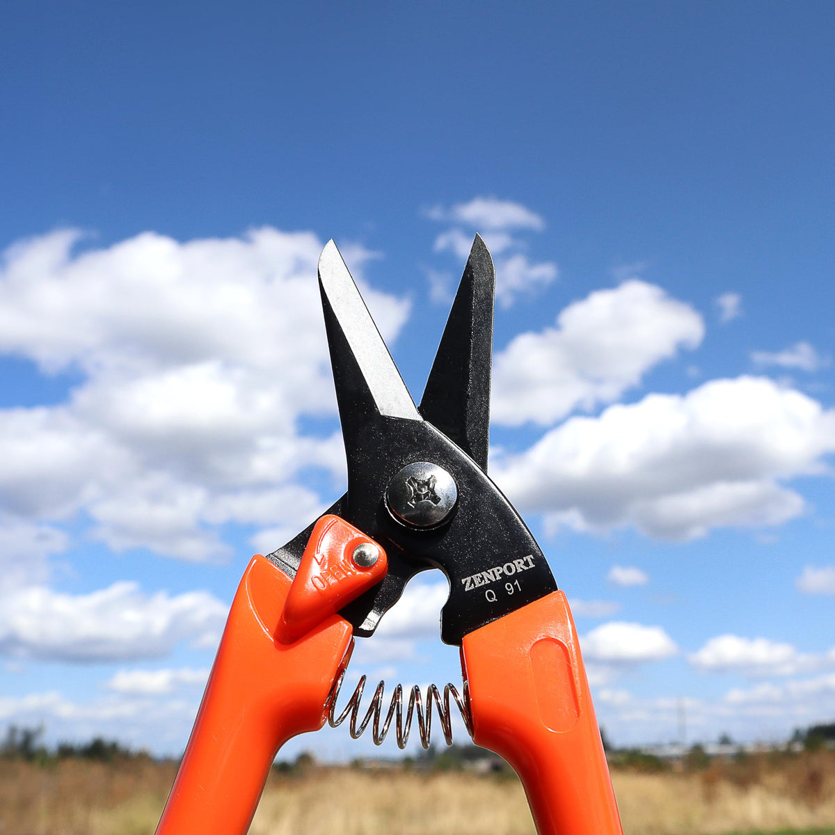Zenport Q91 seven-and-a-half-inch twin-blade offers versatile trimming.