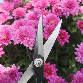 Zenport ZS105 slim profile eases use in tight plant spaces