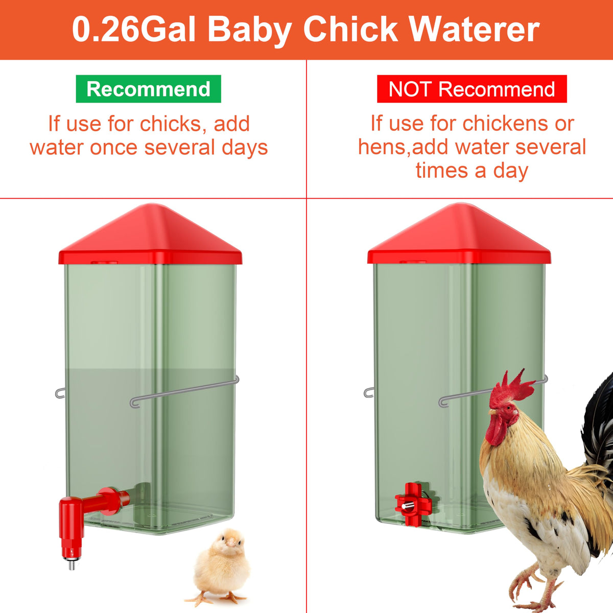 ZenxyHoC horizontal nipple option for growing chicks to sip gradually.