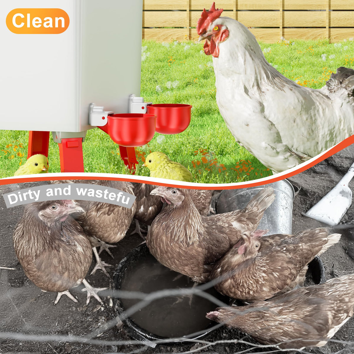 ZenxyHoC waterer cups built with heavy-duty materials for durability
