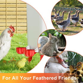 ZenxyHoC multi-species kit supports up to ten chickens.
