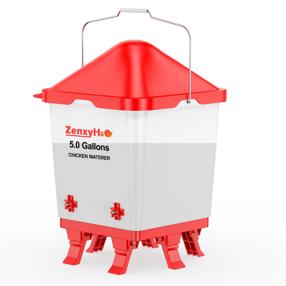 ZenxyHoC waterer with 5-gallon bucket and nipples for reliable flock hydration.