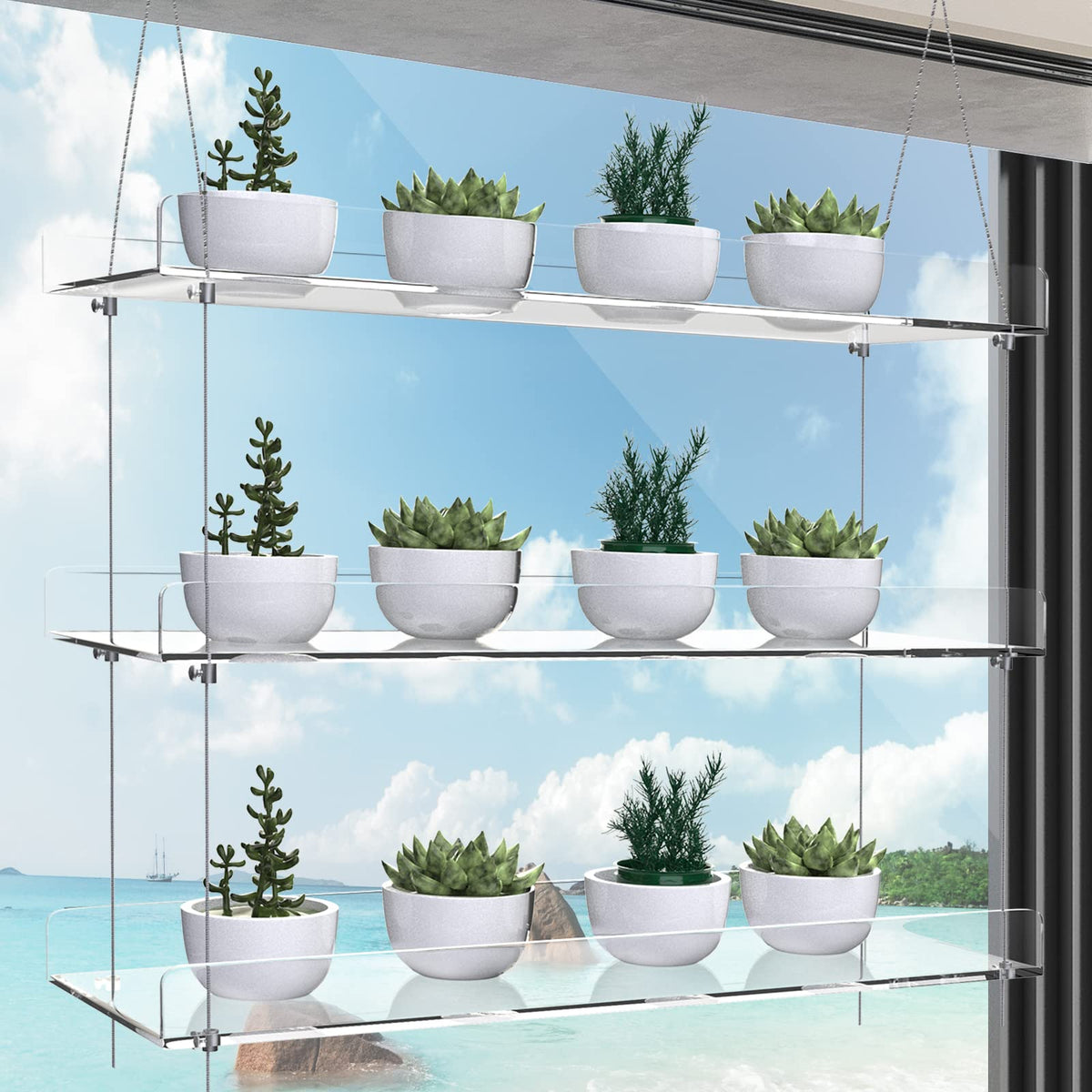 ZerzSemp adjustable-height window shelves maximize plant spacing for healthy growth.