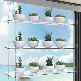 ZerzSemp adjustable-height window shelves maximize plant spacing for healthy growth.