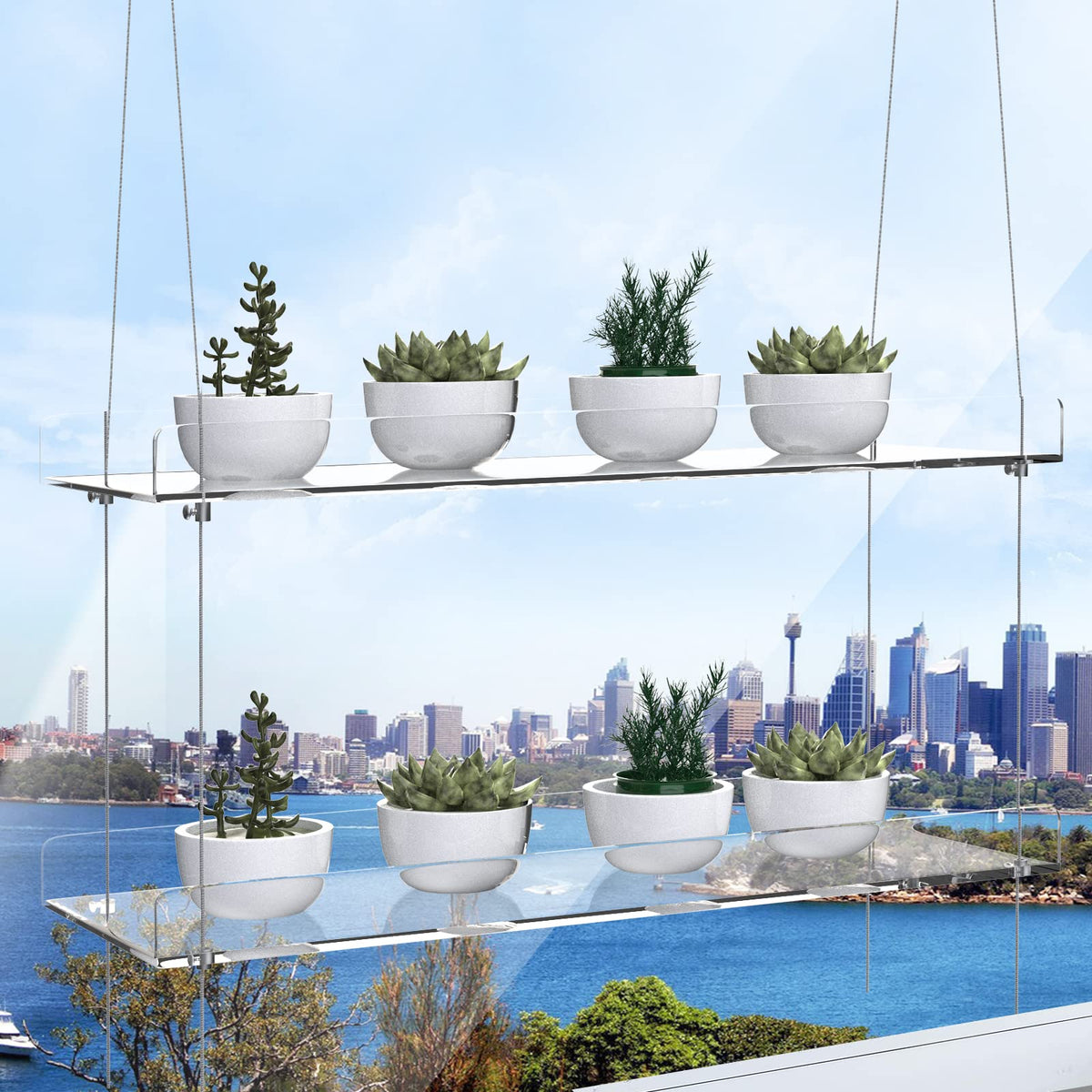 ZerzSemp elegant clear display shelf makes a thoughtful plant lover gift