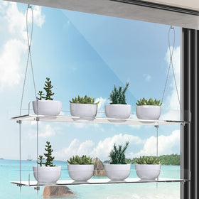ZerzSemp hanging plants on clear window shelves for bright indoor growth