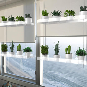 ZerzSemp space-saving plant display helps declutter countertops and shelves.