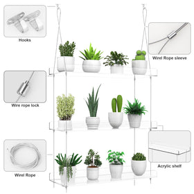ZerzSemp window garden display shelves organized for herbs and seedling care.
