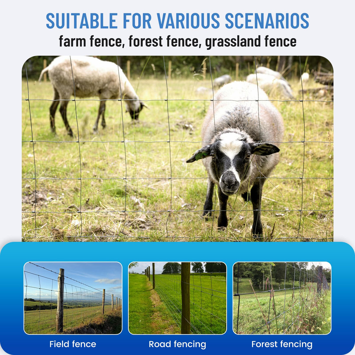 ZESHANGUS graduated mesh 8in-to-3-5in design prevents small animals.