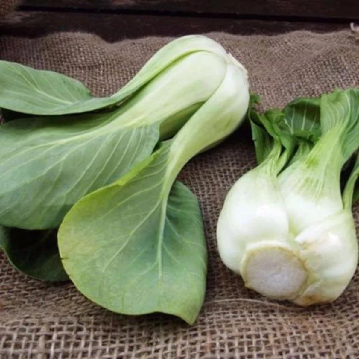 ZEshops seeds for containers, easy to grow leafy greens.