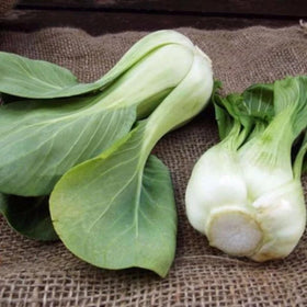 ZEshops seeds for containers, easy to grow leafy greens.