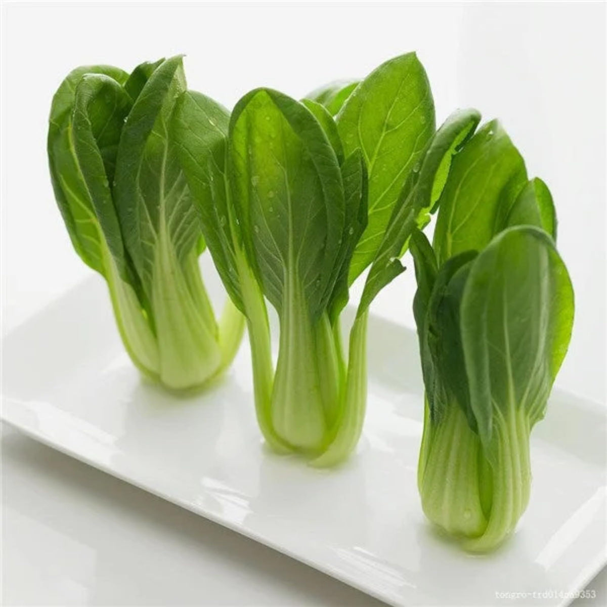 ZEshops Chinese cabbage thriving in outdoor garden for fresh harvest.