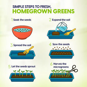 ZESTIGREENS bamboo tray supports planter, protects counters during harvest.