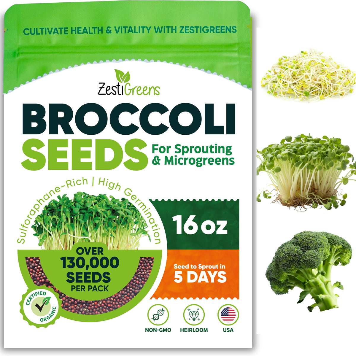 ZestiGreens broccoli seeds sprout jar: quick, fresh sprouts for healthy snacking.