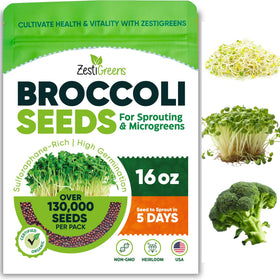 ZestiGreens broccoli seeds sprout jar: quick, fresh sprouts for healthy snacking.
