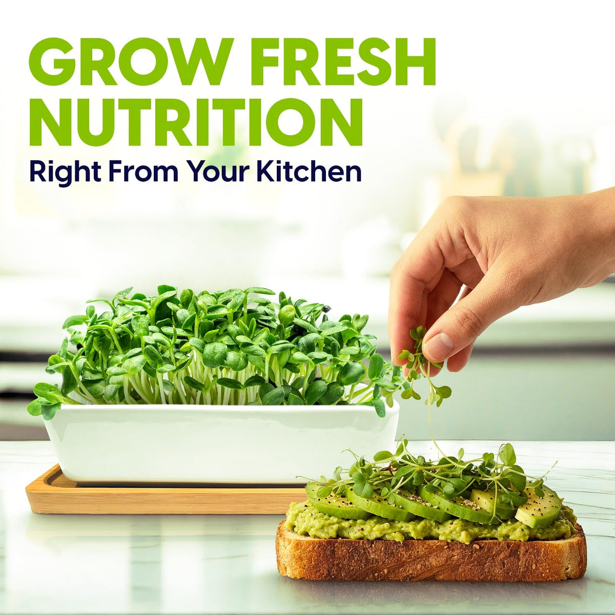ZESTIGREENS broccoli seeds for quick, nutrient-dense greens.