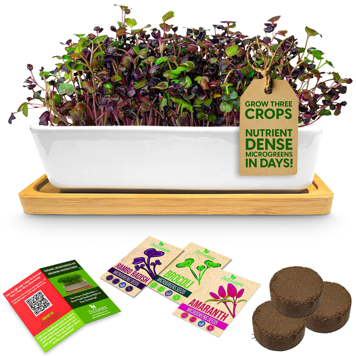 ZESTIGREENS ceramic microgreens planter for kitchen growing, stylish and durable.