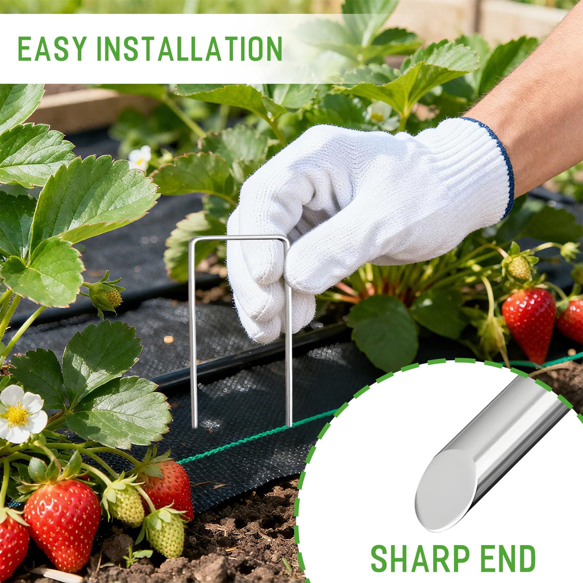 Zevlux anti-rust galvanized steel staples resist corrosion over time.