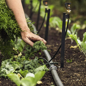 Zevlux irrigation-pipe-anchor supports hoses and irrigation lines securely.