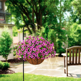 ZFProcess coir basket with metal chains creates sturdy display.