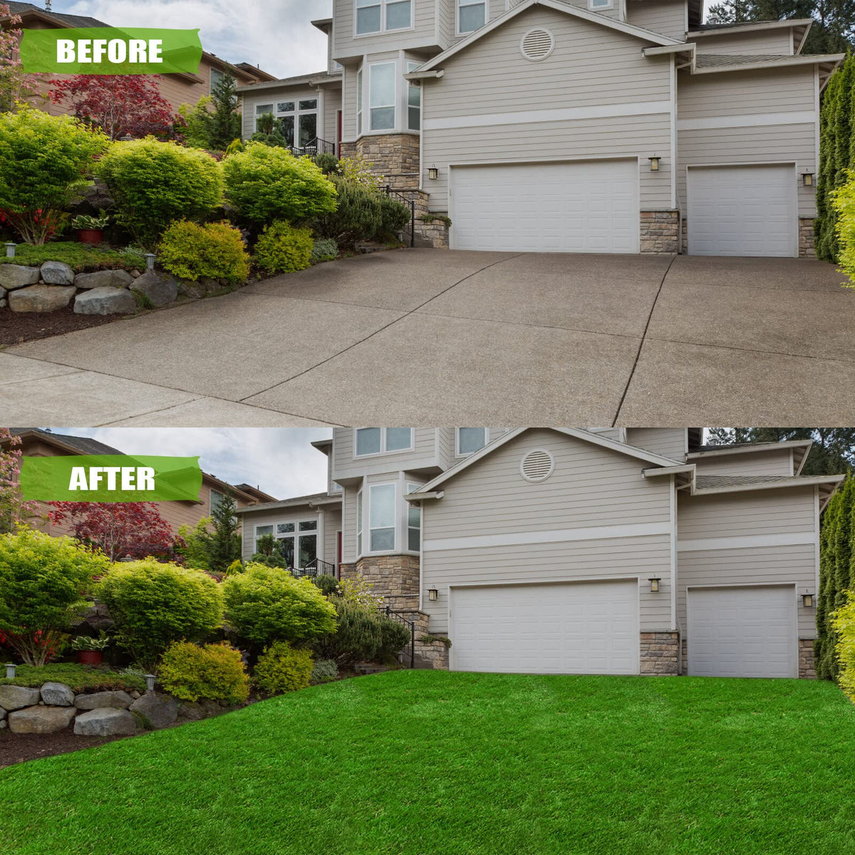ZGR turf texture appears soft and lush for comfortable foot traffic.