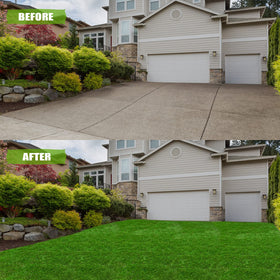 ZGR turf texture appears soft and lush for comfortable foot traffic.