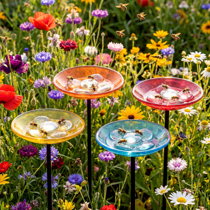 Zhehao bee watering station four-pack attracts pollinators in your garden.