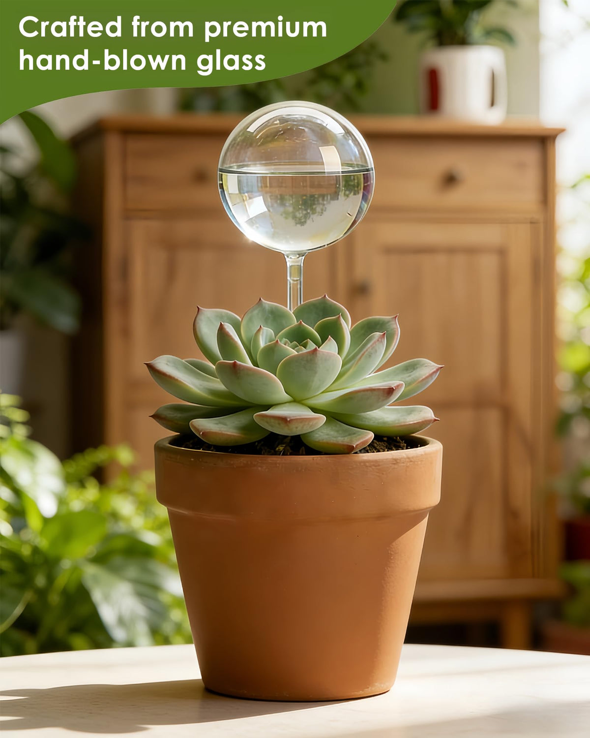 Zhend iridescent glass globe with rainbow finish enhances decor while watering.