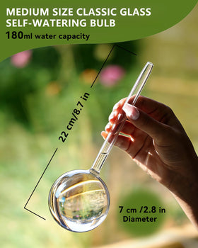 Zhend iridescent self-watering globe drops delivering steady moisture for plants on vacation.