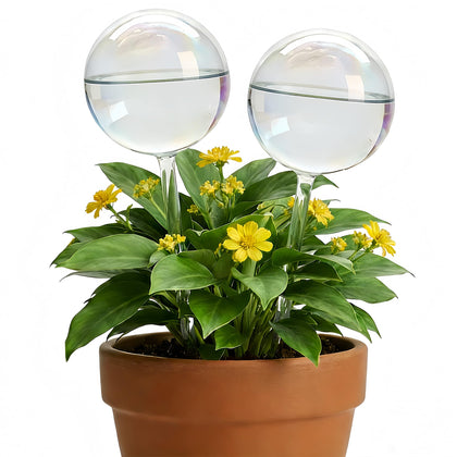 Zhend iridescent self-watering globe setup for effortless plant hydration indoors or outdoors.
