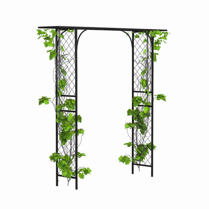 Zhongma metal garden arbor full view for climbing plants and arches