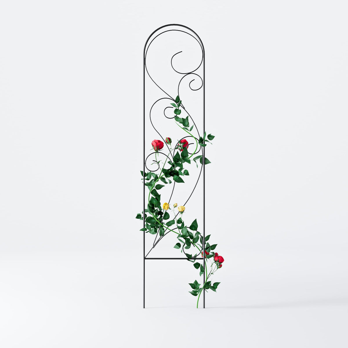 Zhongma 4-pack with potted plant demonstrates vertical growth solution