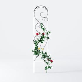 Zhongma 4-pack with potted plant demonstrates vertical growth solution