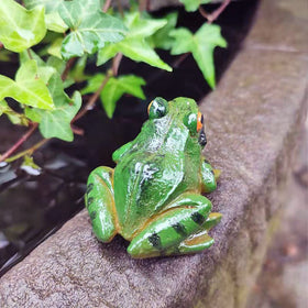 ZHOUQZSF small frog statues fit succulent planters for quirky flair.