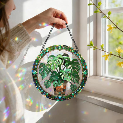 Zhuoyaju 8-inch sun catcher rainbow window with bright refracted colors for sunny rooms
