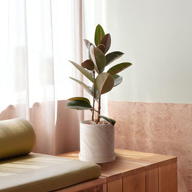 ZICZAMLA pot with saucer base catches excess water and protects surfaces.