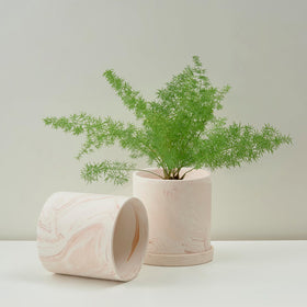 ZICZAMLA indoor plant pot ideal for windowsills and tabletops.