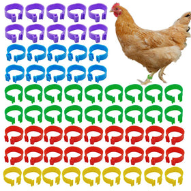 ZiftMART 16mm chicken identification leg bands for easy breed differentiation