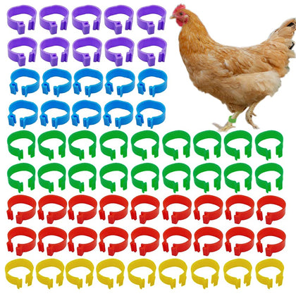 ZiftMART 16mm chicken identification leg bands for easy breed differentiation