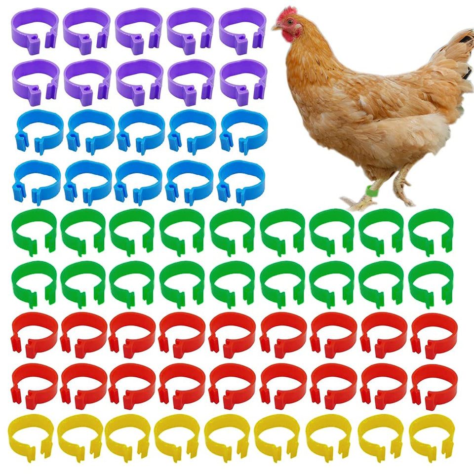 ZiftMART 16mm chicken identification leg bands for easy breed differentiation