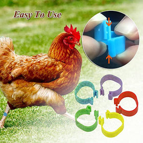Perfect inner diameter fits most poultry for consistent tagging