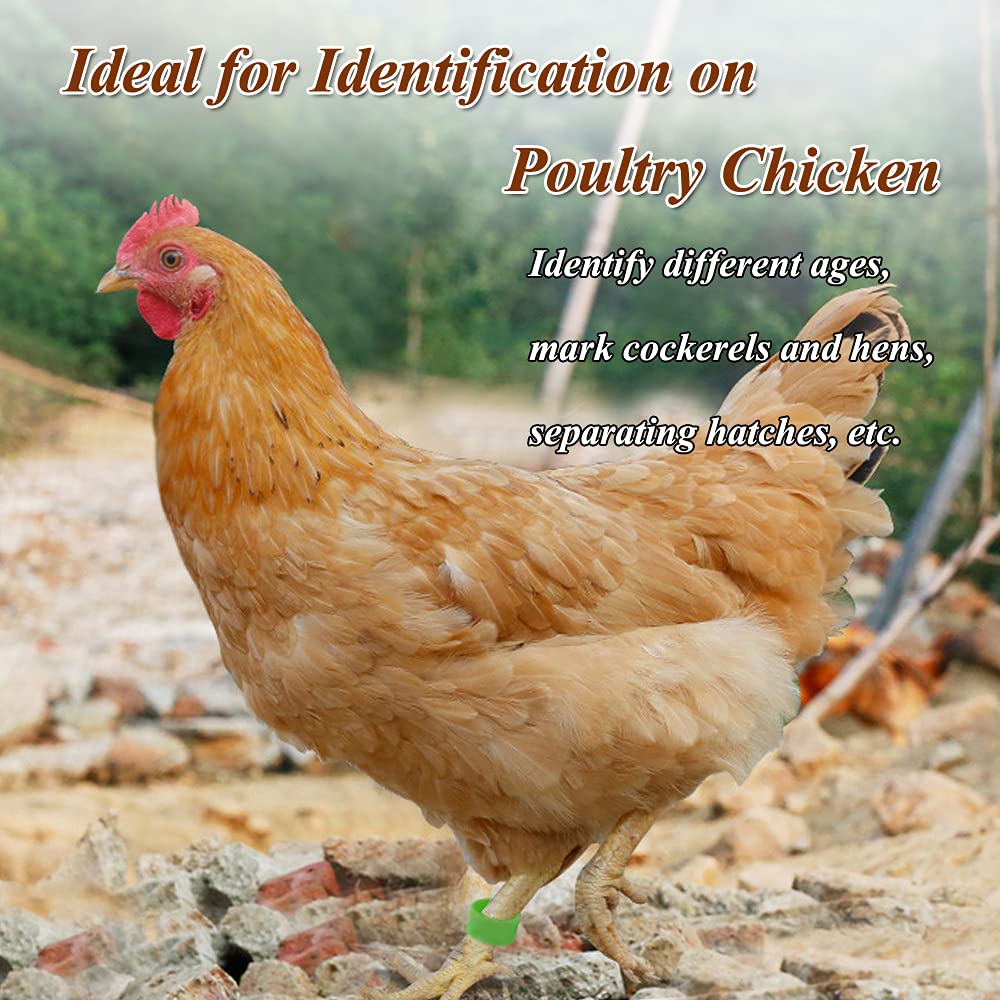 Suitable for chickens ducks turkeys and other birds for identification and management
