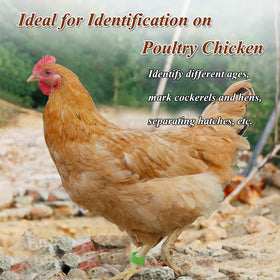 Suitable for chickens ducks turkeys and other birds for identification and management