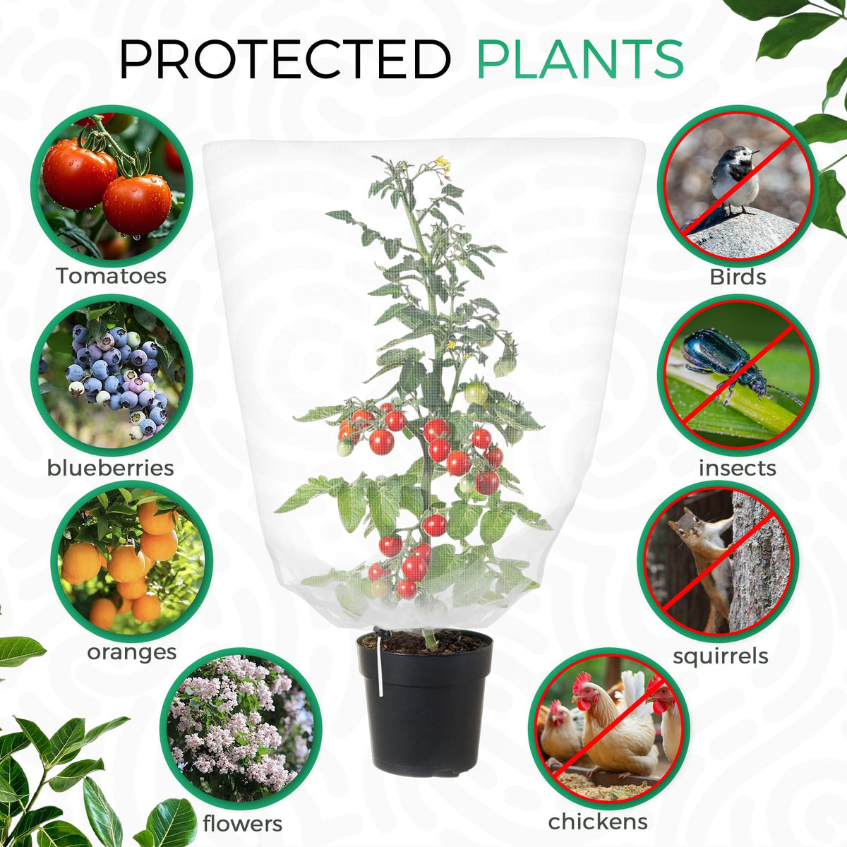 Zihvfzu deer and insect barrier protects fruit trees and vegetables.