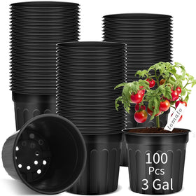 Ziliny 3-gallon nursery pot bulk for seed starting and transplanting