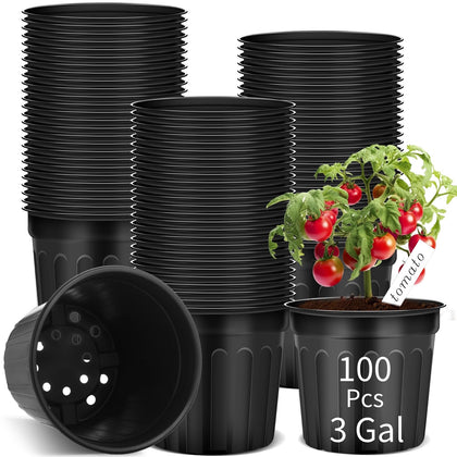 Ziliny 3-gallon nursery pot bulk for seed starting and transplanting