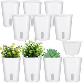 Ziliny 3-inch self-watering pot with visible water level for easy moisture checks.