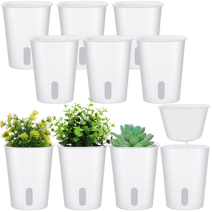 Ziliny 3-inch self-watering pot with visible water level for easy moisture checks.